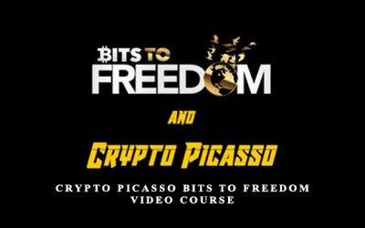 Crypto Picasso Bits to Freedom Video Course