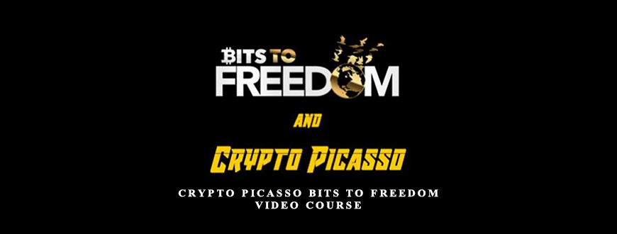 Crypto Picasso Bits to Freedom Video Course