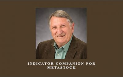 Indicator Companion for Metastock