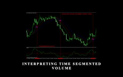 Interpreting Time Segmented Volume