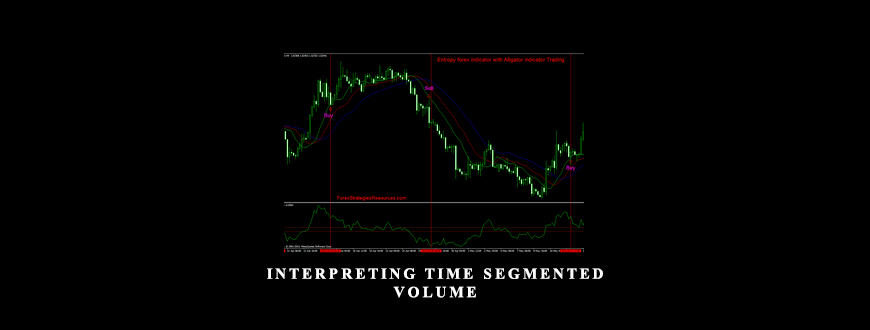 Interpreting Time Segmented Volume by Peter Worden