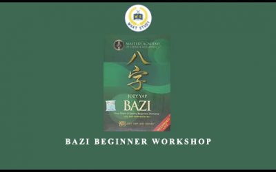 BaZi Beginner Workshop