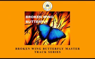 Broken Wing Butterfly Master Track Series