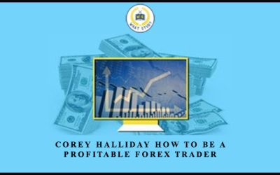 Forex Trading Make Your First Trader Today