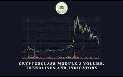 Module 3 – Volume, Trendlines and Indicators