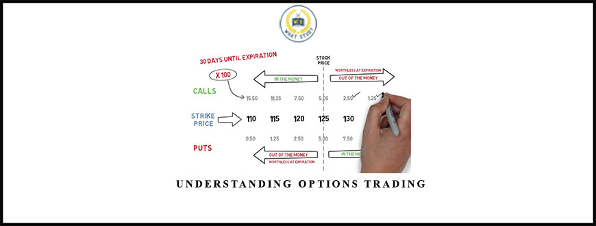 Daytradingzones Understanding Options Trading