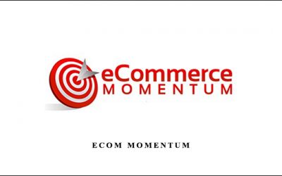 Ecom Momentum