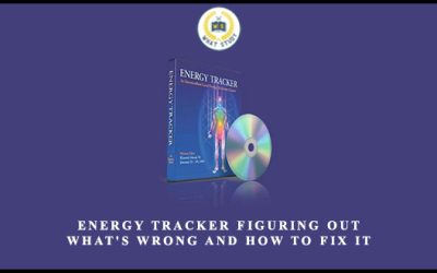 Energy Tracker Figuring Out What’s Wrong and How to Fix It