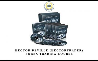 Forex Trading Course