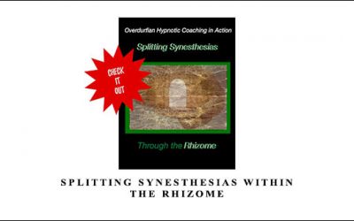 Splitting Synesthesias within the Rhizome