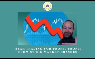 Bear Trading For Profit Profit From Stock Market Crashes