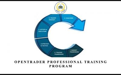 Professional Training Program