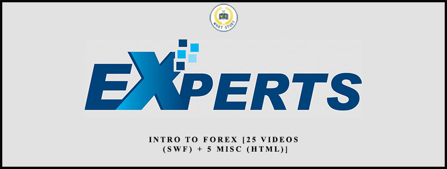 Raghee Horner – Intro to Forex [25 Videos (SWF) + 5 Misc (HTML)]