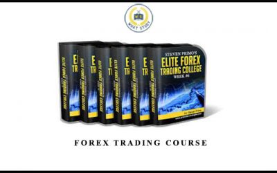 Forex Trading Course