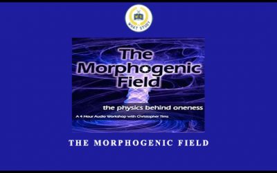 The Morphogenic field by Christopher Tims