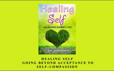 Healing Self: Going Beyond Acceptance to Self-Compassion