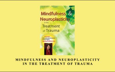 Mindfulness and Neuroplasticity in the Treatment of Trauma