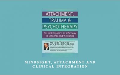 Mindsight, Attachment and Clinical Integration