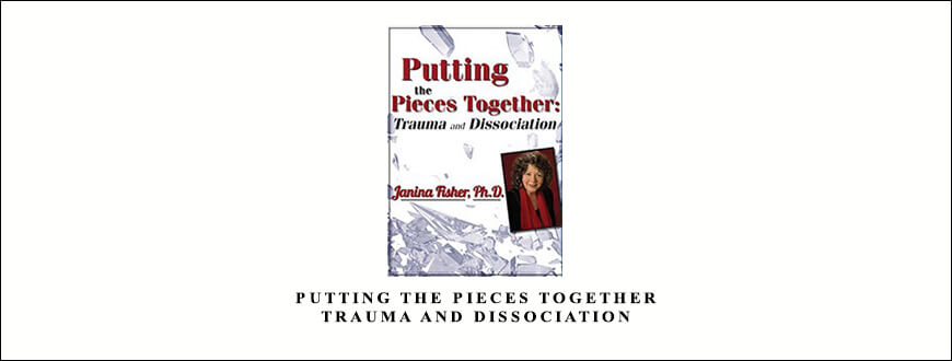 Putting the Pieces Together Trauma and Dissociation by Janina Fisher