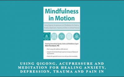 Using Qigong, Acupressure and Meditation for Healing Anxiety, Depression, Trauma and Pain in Clinical Practice