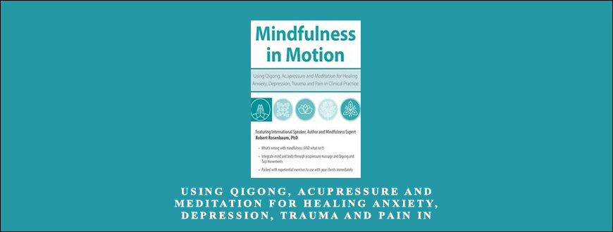 Using Qigong, Acupressure and Meditation for Healing Anxiety, Depression, Trauma and Pain in Clinical Practice by Robert Rosenbaum