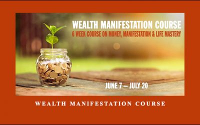 Wealth Manifestation Course