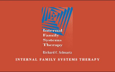 Internal Family Systems Therapy