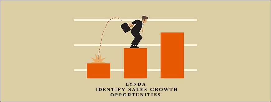 Lynda – Identify Sales Growth Opportunities taking at Whatstudy.com