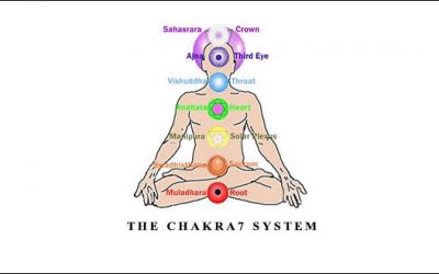 THE CHAKRA7 SYSTEM