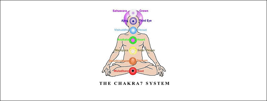 CAROL TUTTLE – THE CHAKRA7 SYSTEM