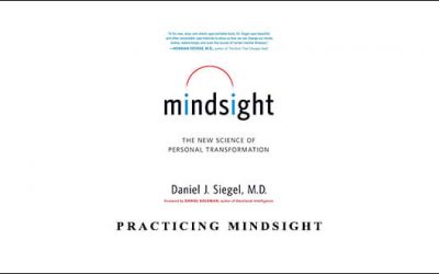 PRACTICING MINDSIGHT