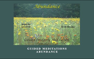 Pamala Oslie – Guided Meditations – Abundance