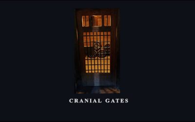 Rudy Hunter – Cranial Gates